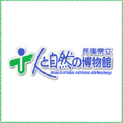 hitohaku_logo