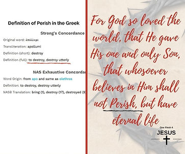 John 3-16.jpg