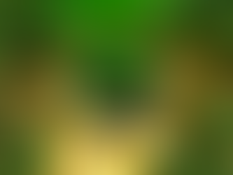 Le cadre légal des achats RSE