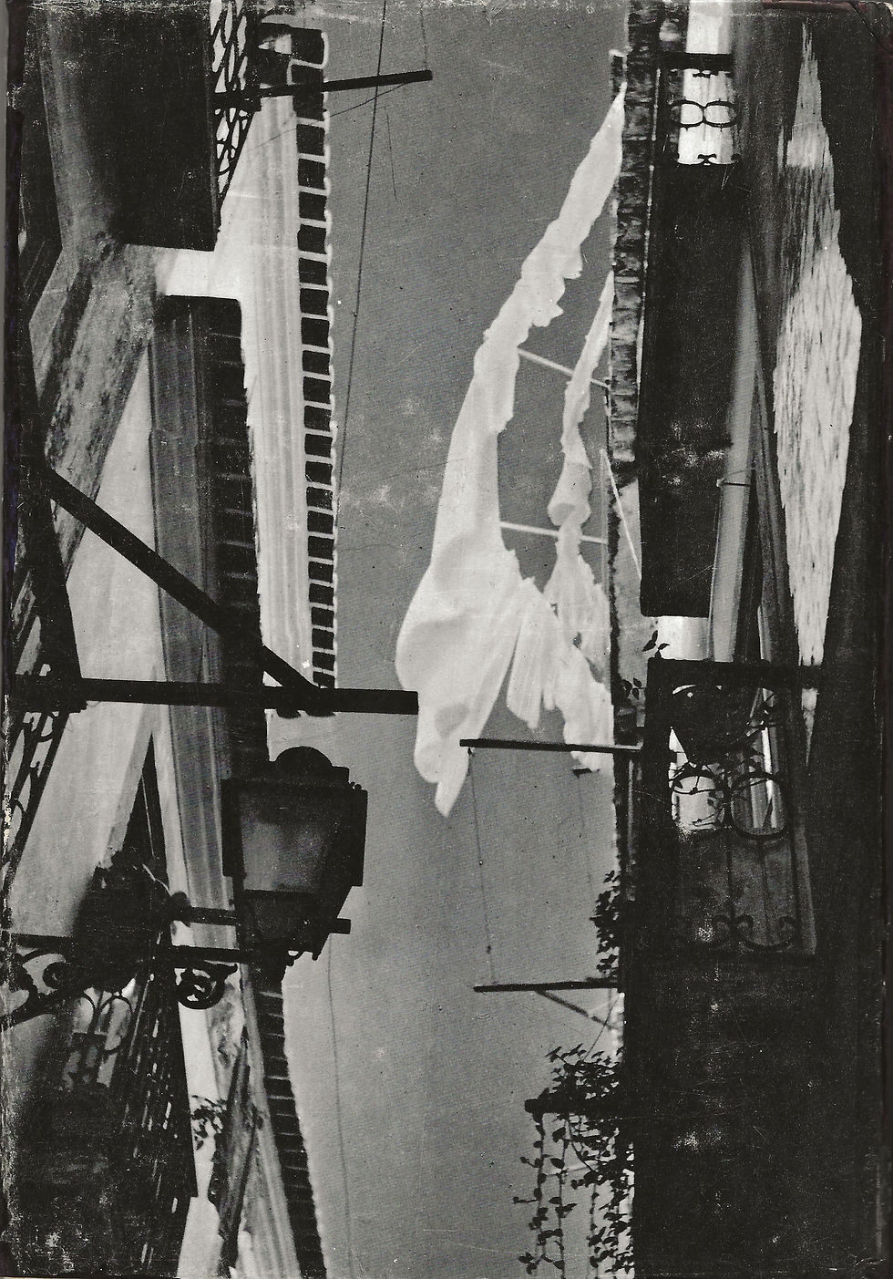 Digitalização 257.jpeg