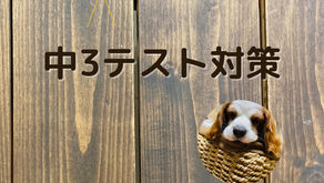 単語や文法をご紹介！