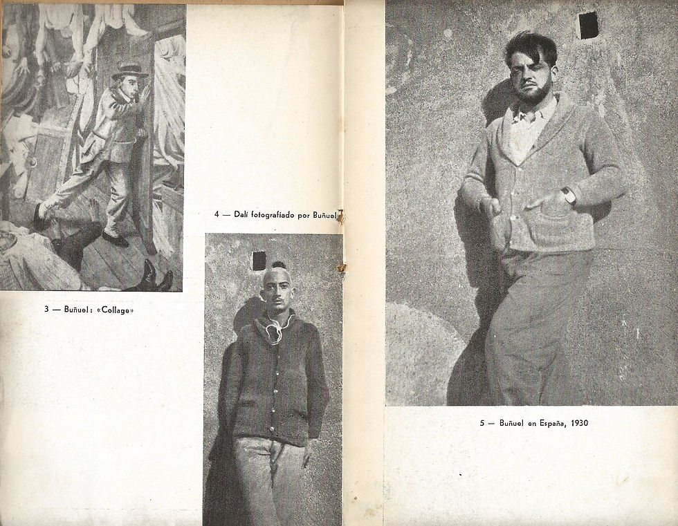 Digitalização 344.jpeg