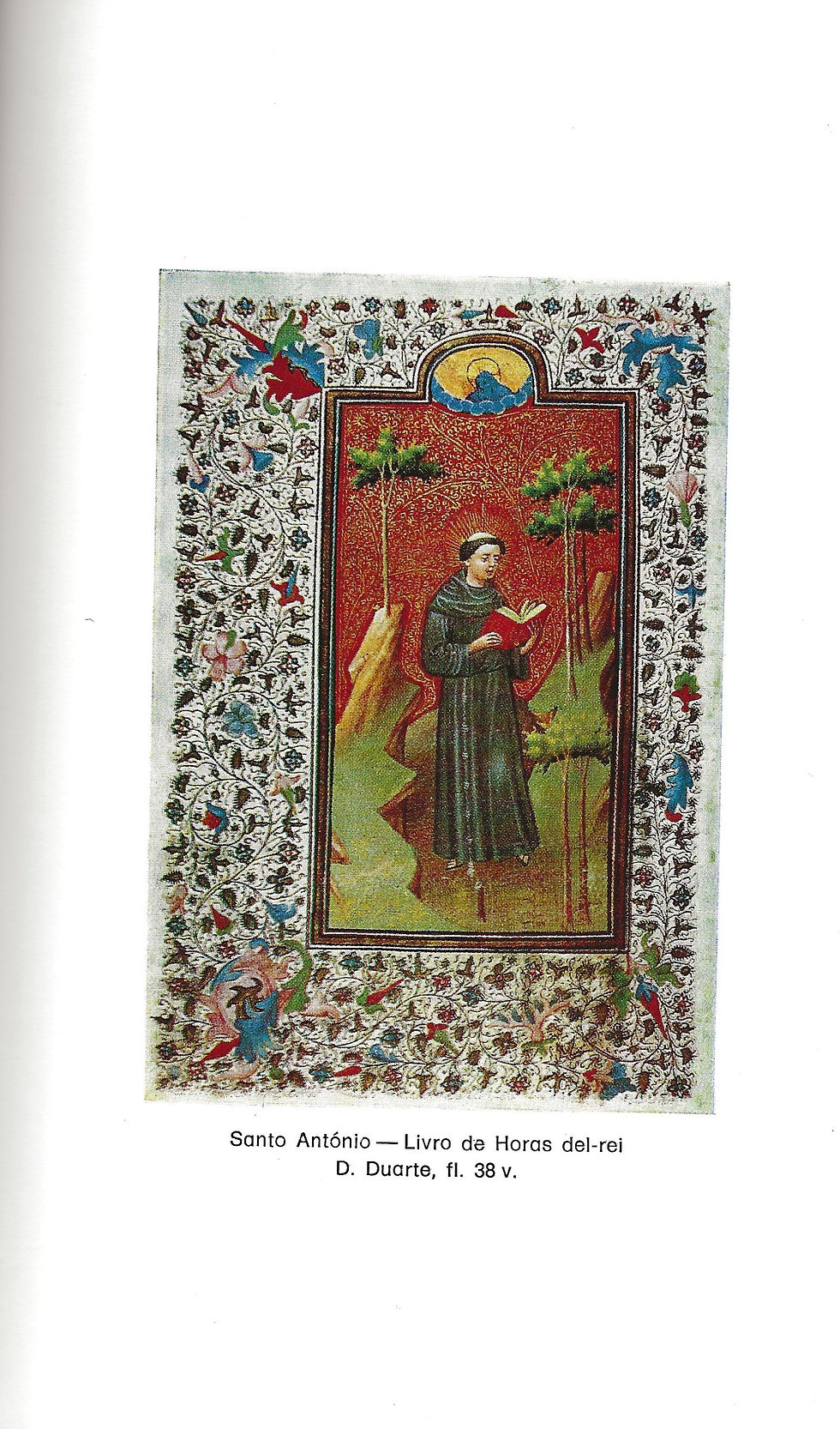 Digitalização 420.jpeg