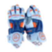 2022 UVA Gloves