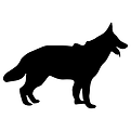 canine-01.png