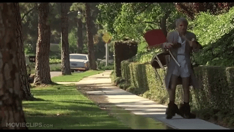 giphy-5.gif