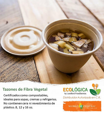 Diapositiva3.JPG