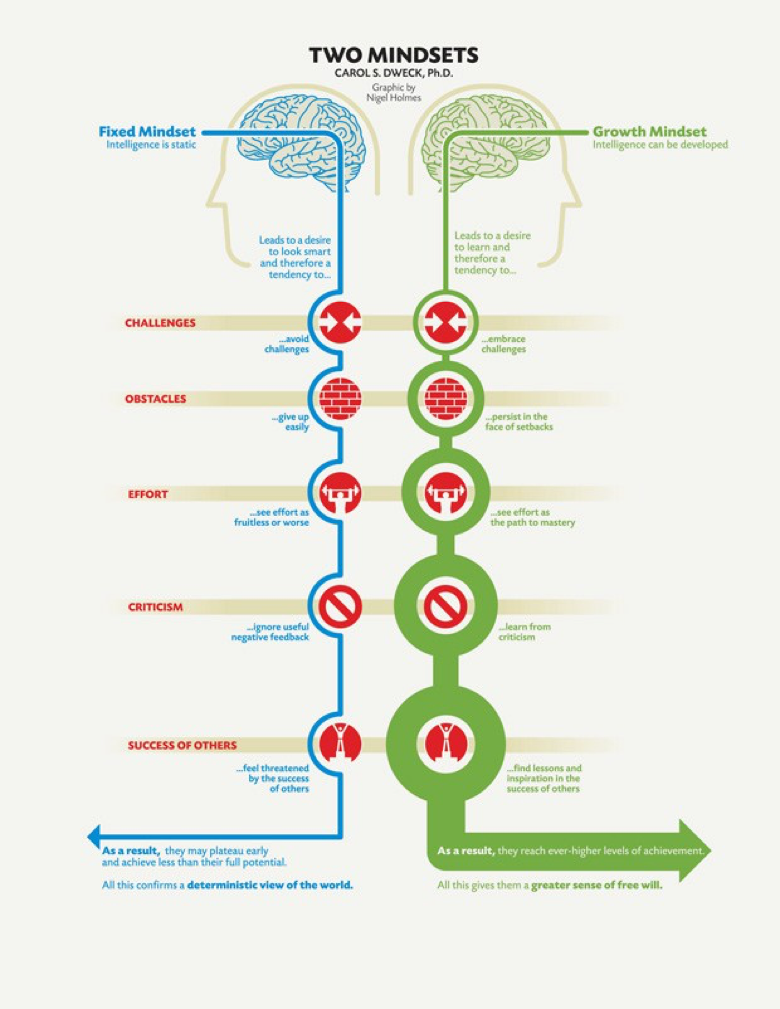 Two Mindsets