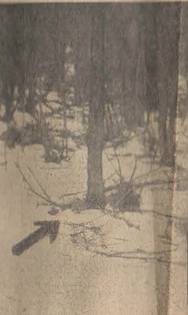 Location where Tommy was tied to tree
