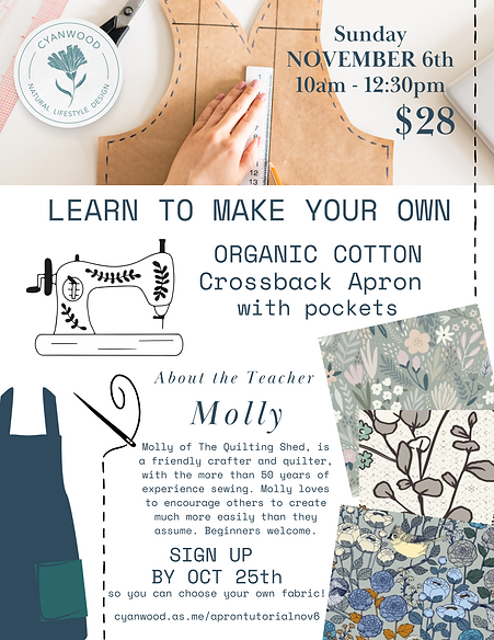 Apron Workshop Flyer (2).png