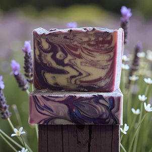 lavender & cream.JPEG