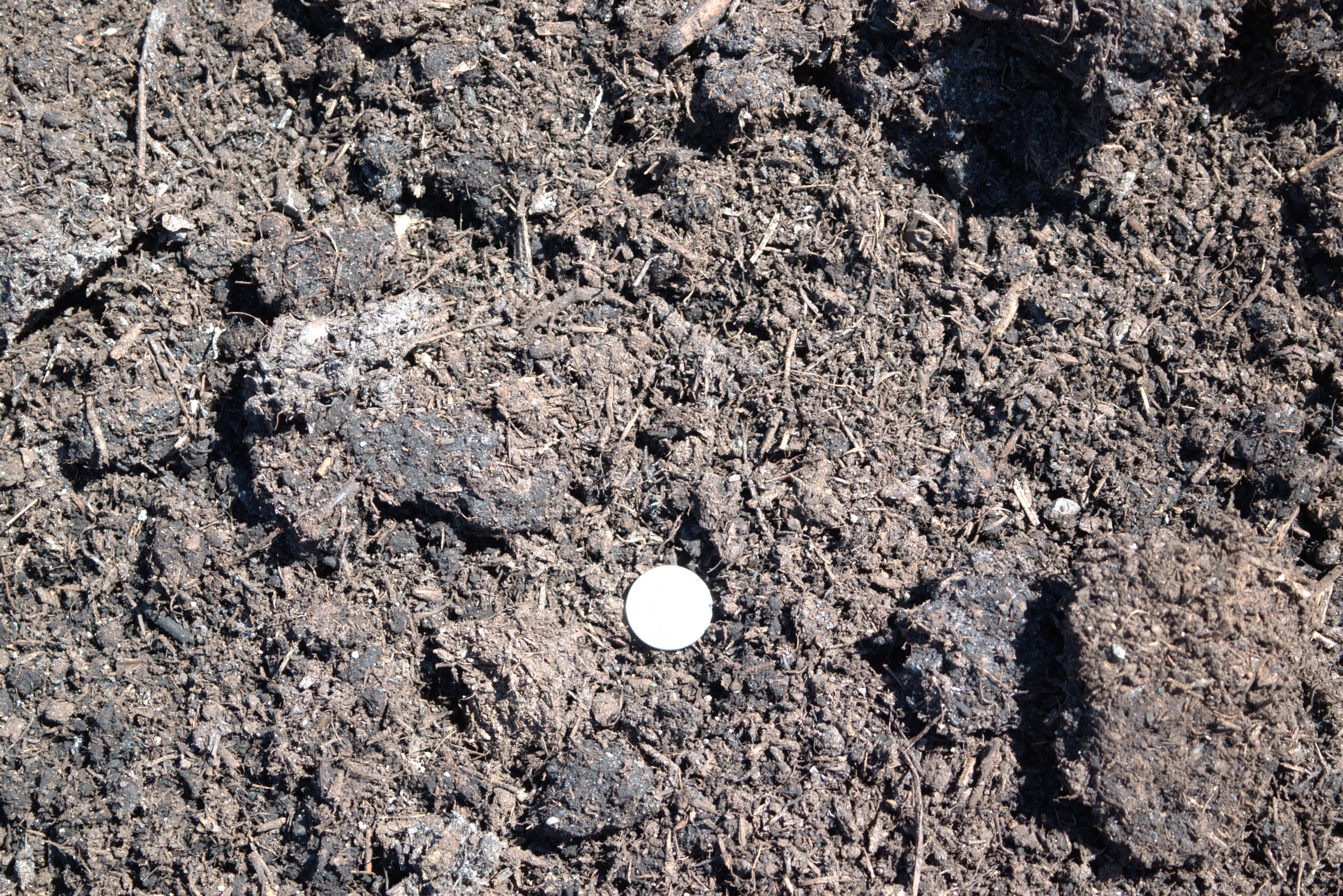 Compost