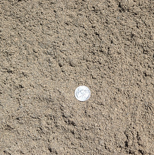 Screened Bank Sand, Fine