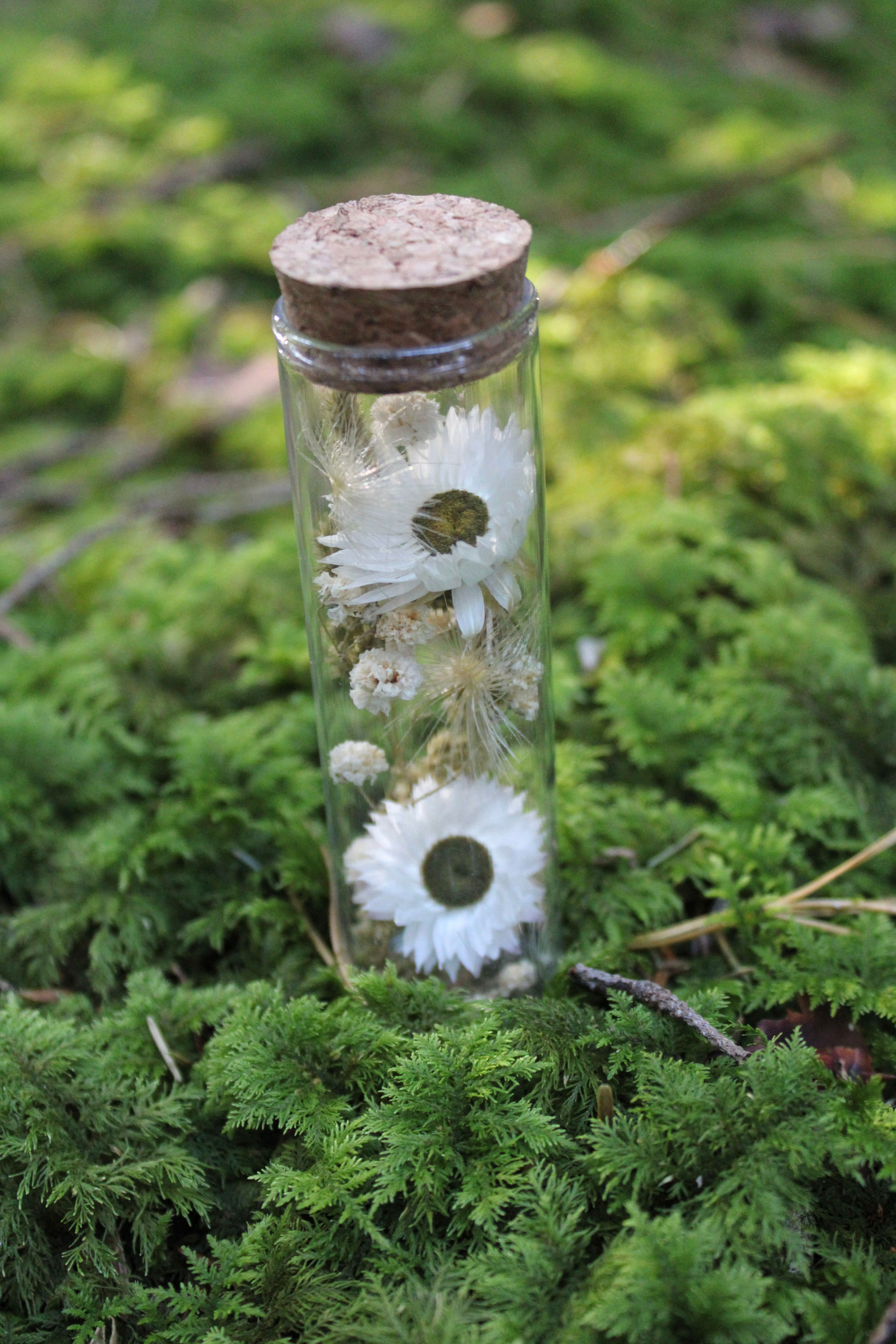 Natur im Glas "mini"
