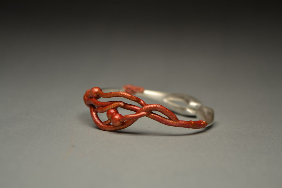 Beach Find, 2013