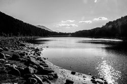 IMG_1369-2