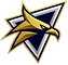 valdore warbird.png