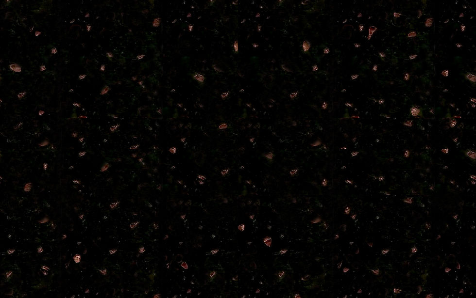 E-614