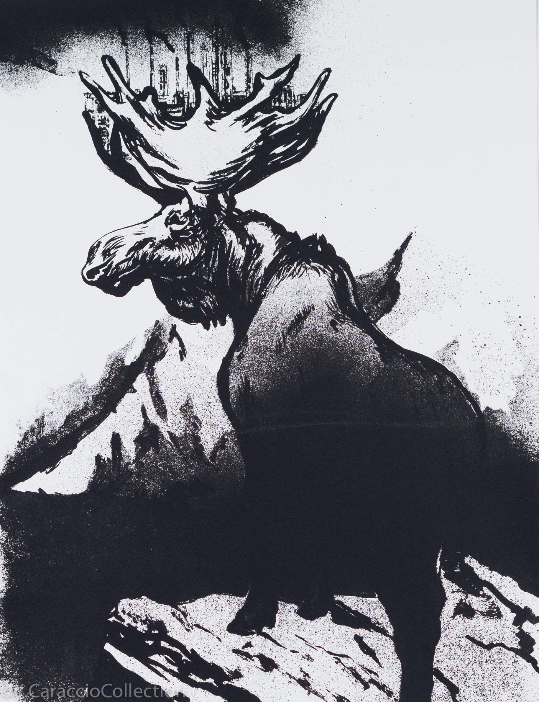 No Title, 2009