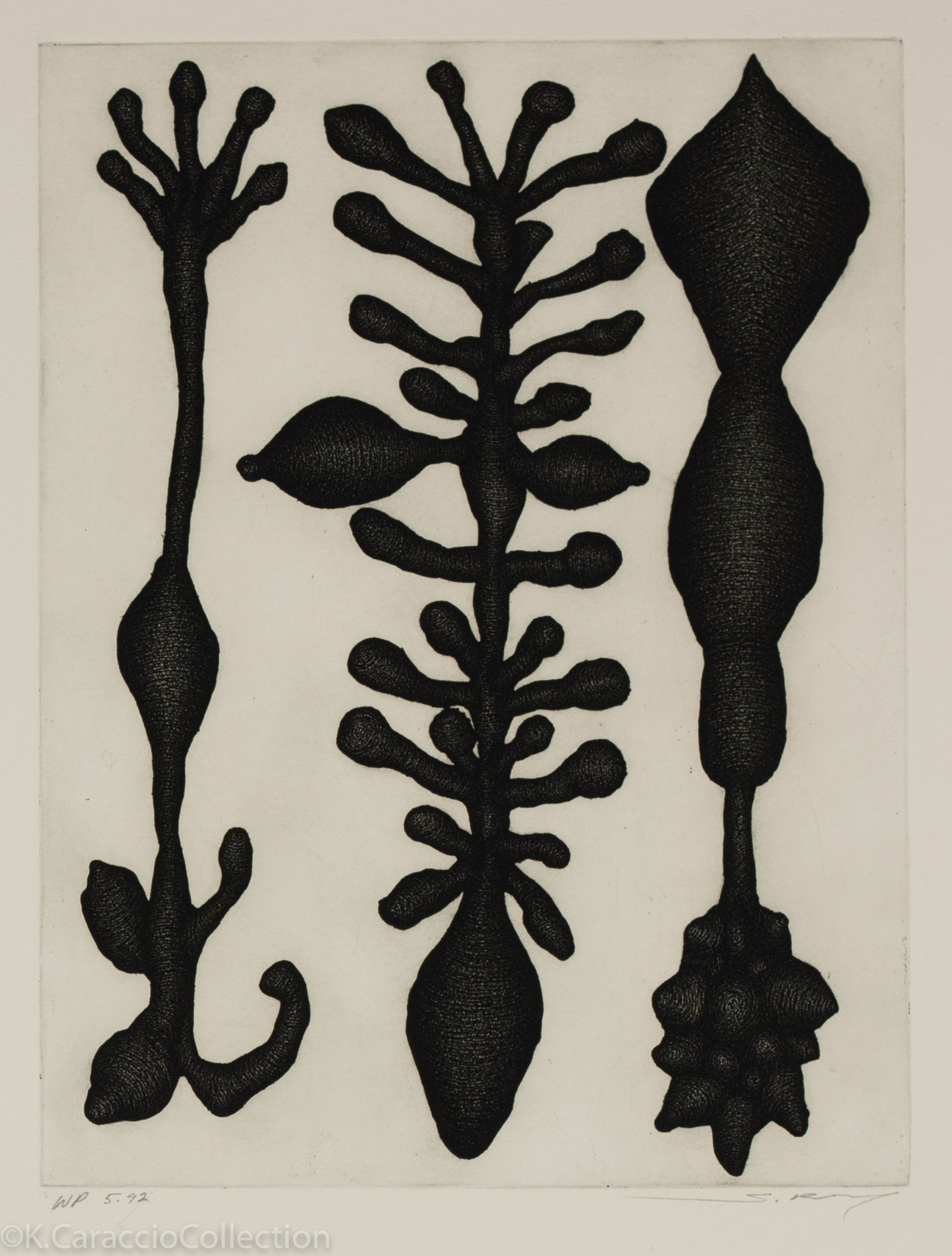 5-92, 1992