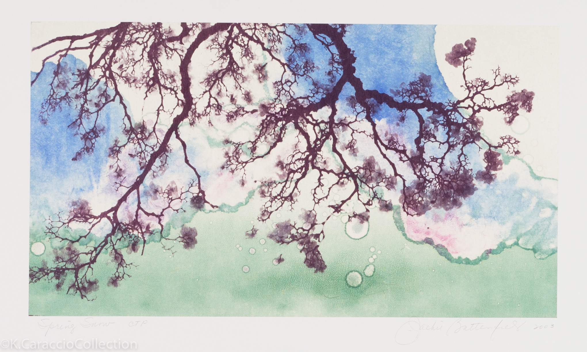 Spring Snow, 2003