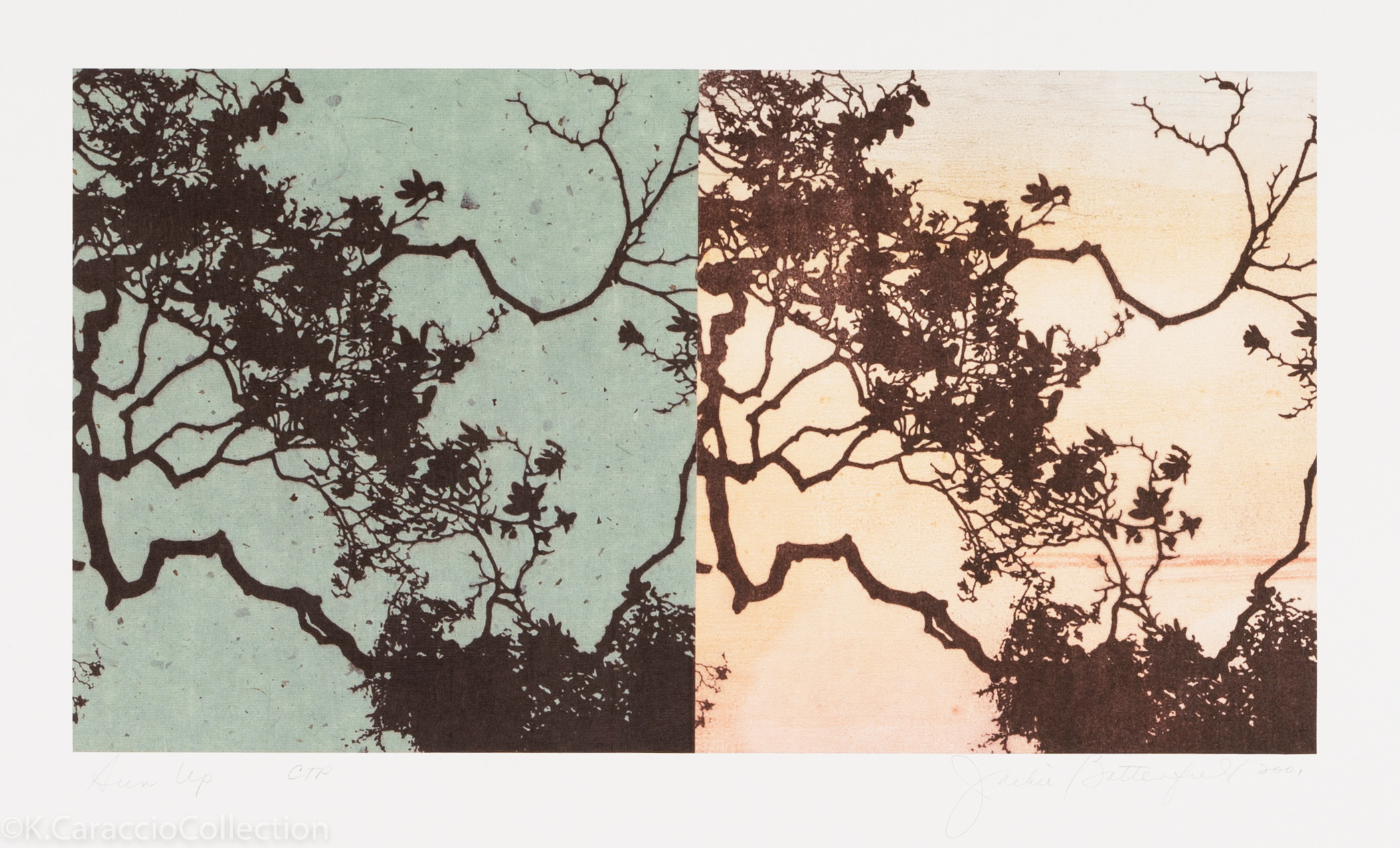Sun Up, 2003