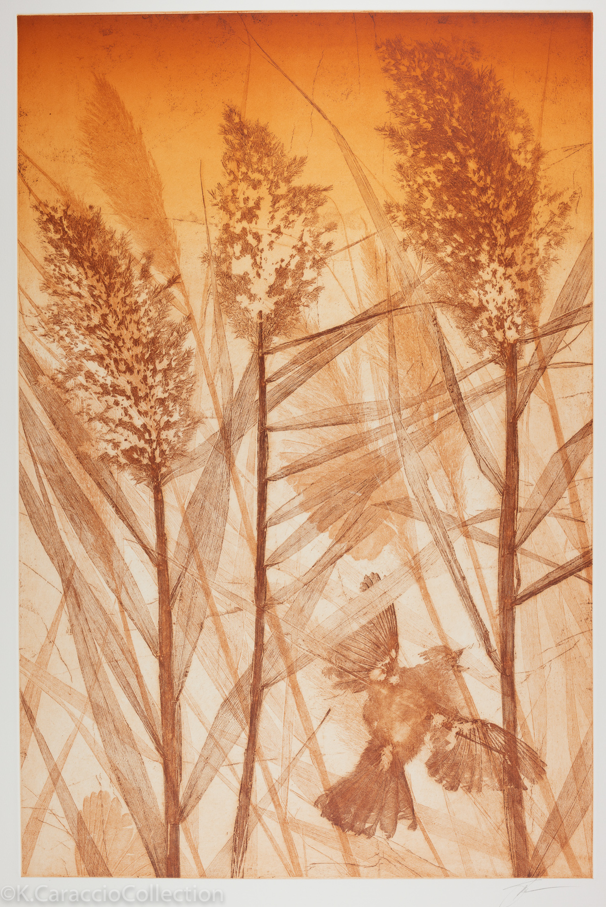 No Title, 2008