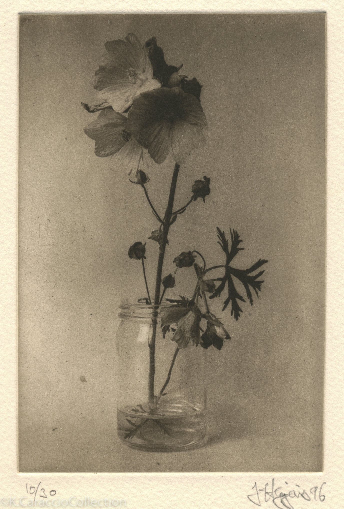 No Title, 1996
