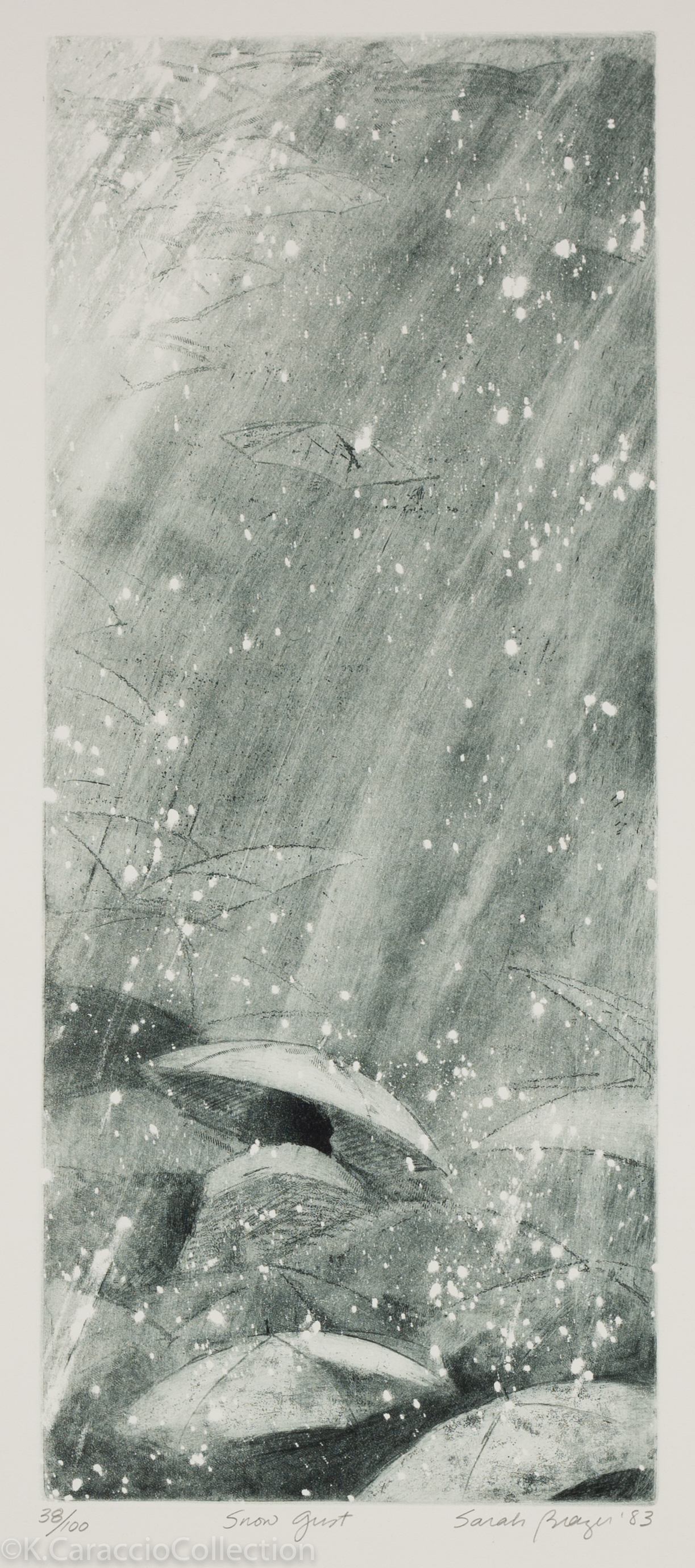 Snow Gust, 1983