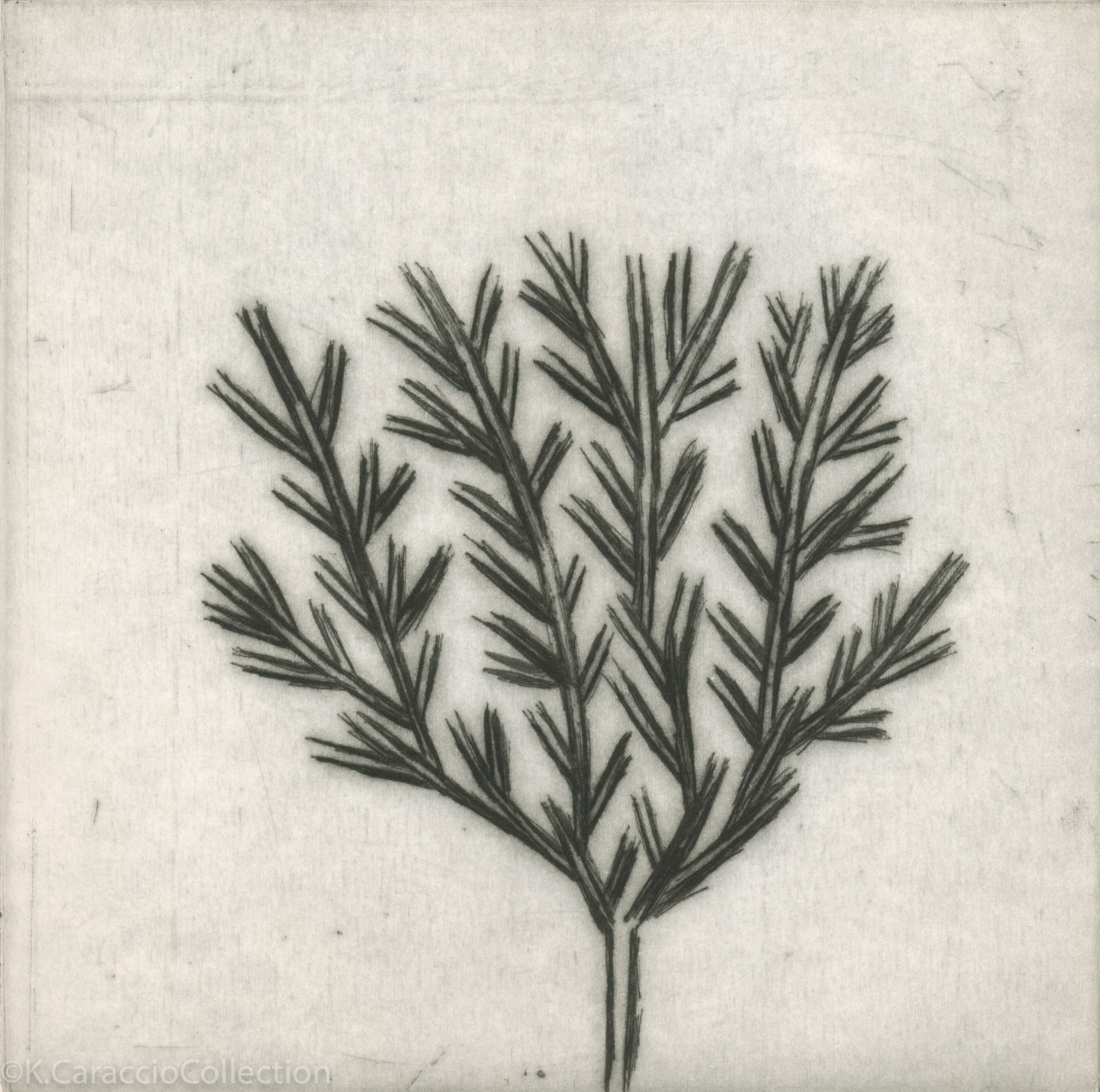 No Title (94A tree on verso), 1995