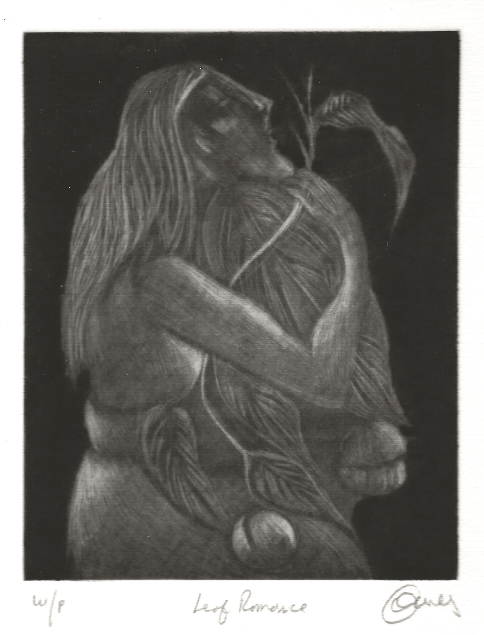 Leaf Romance, 2002