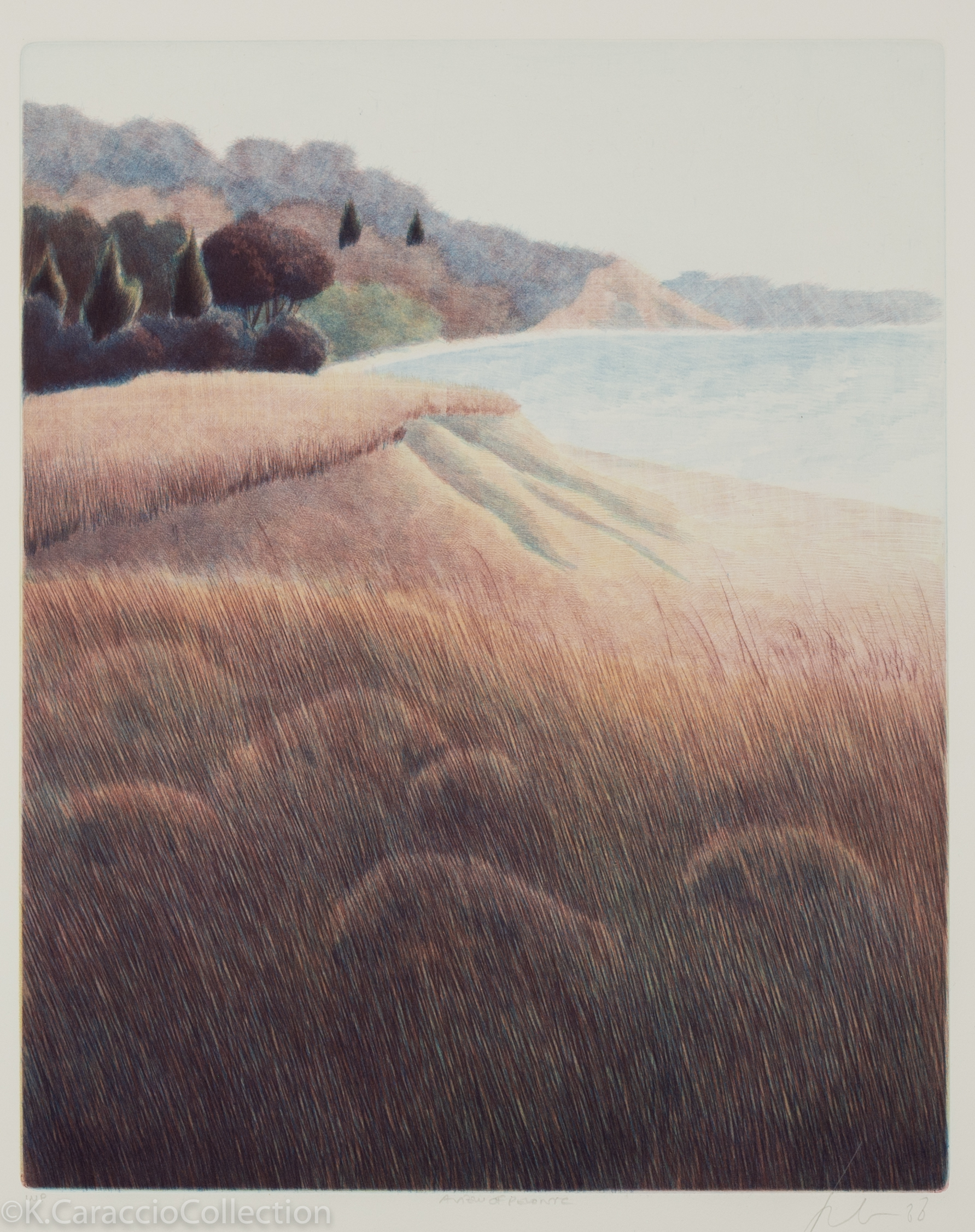 A View of Peconic, 1988