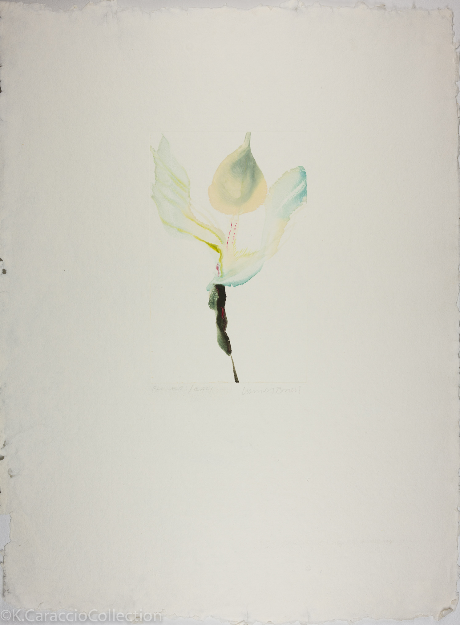 Flower/Bali, 1981