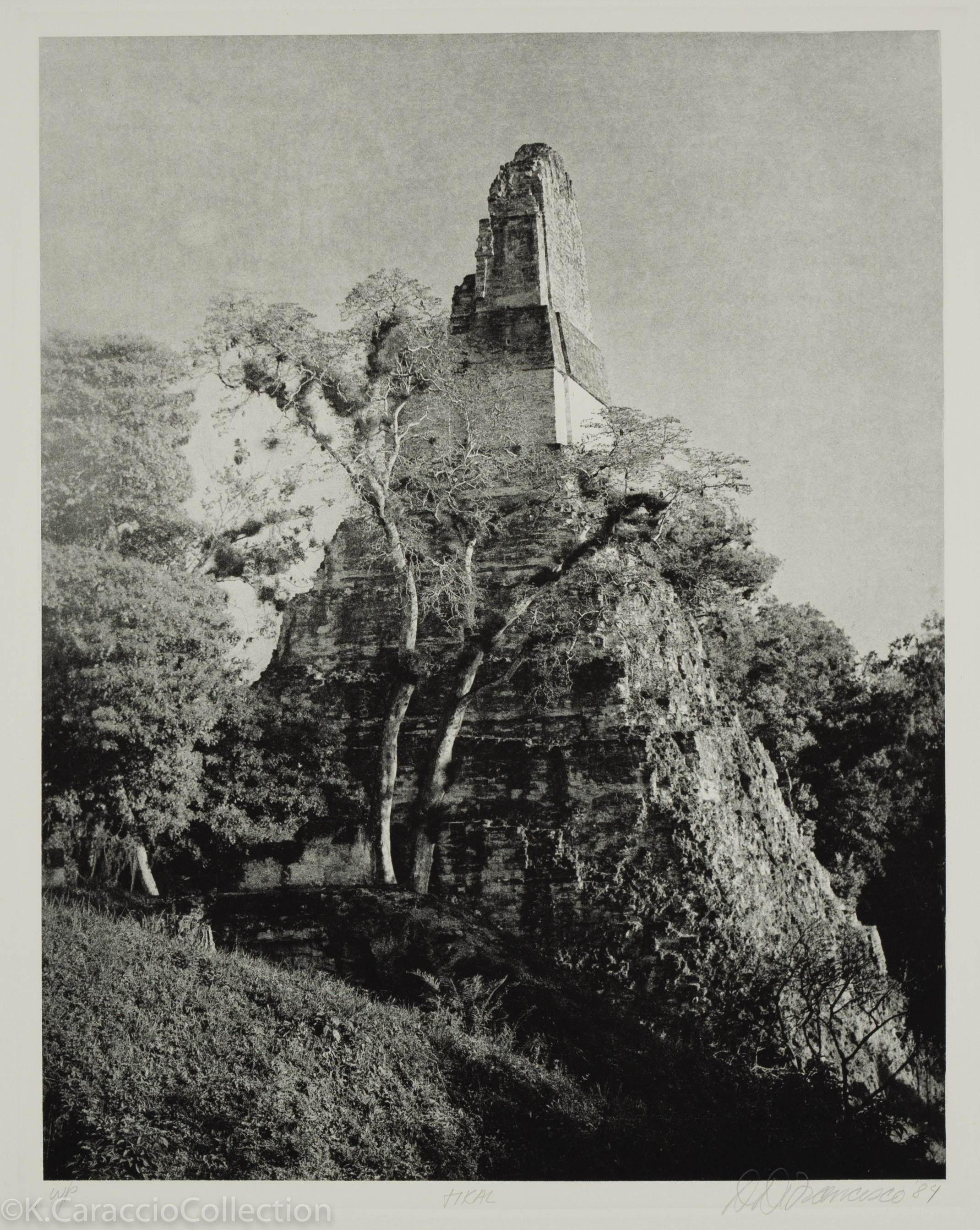Tikal, 1984