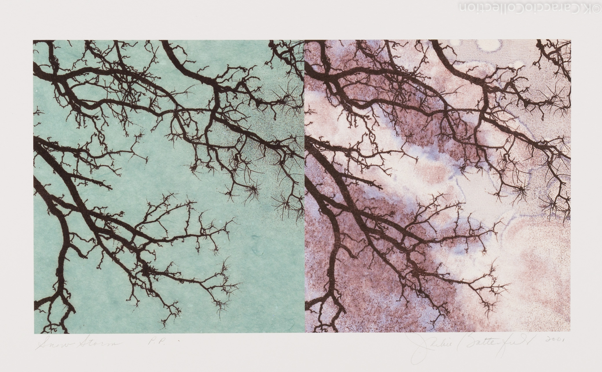 Snow Storm, 2003