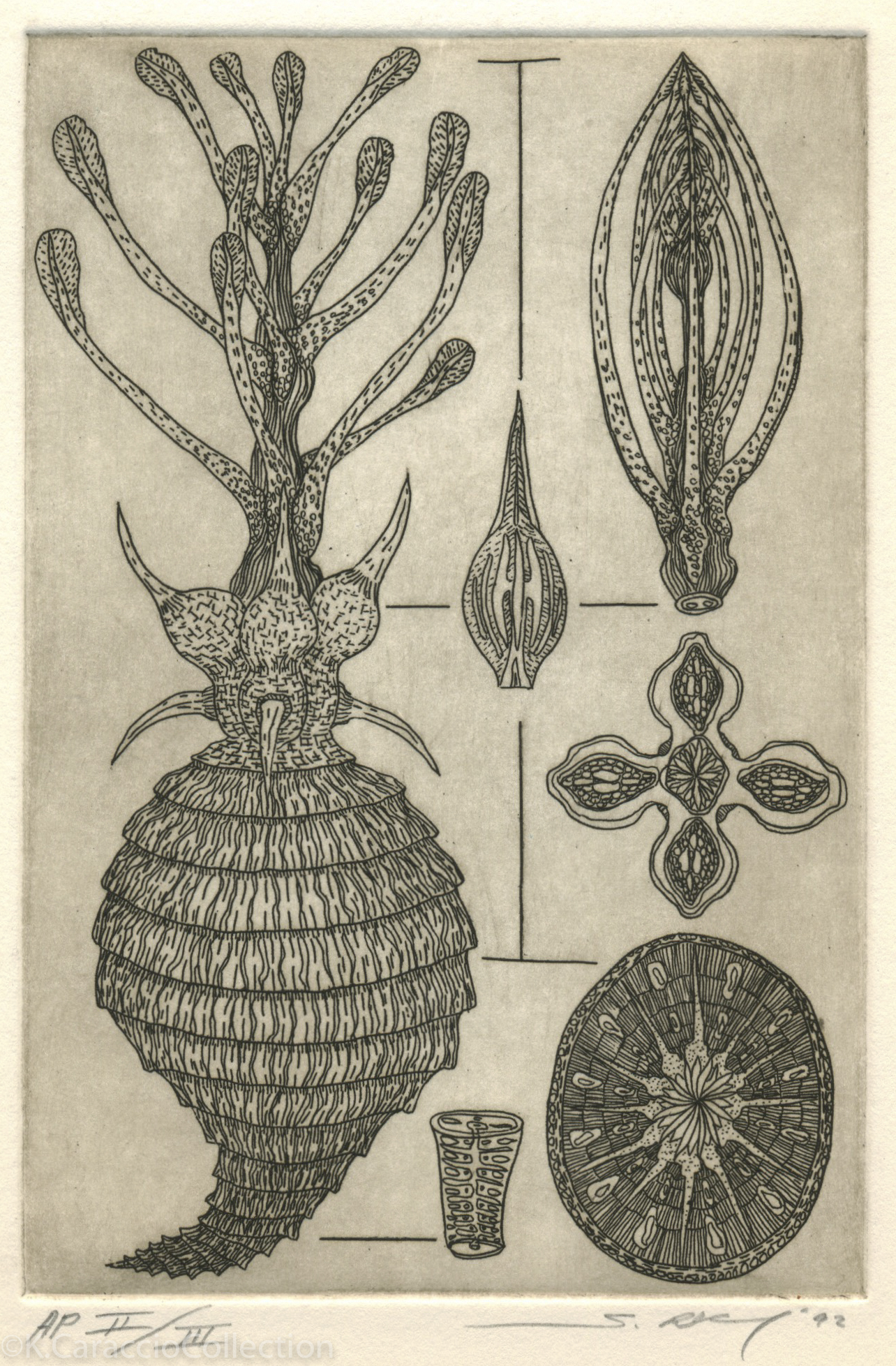 No Title, 1992