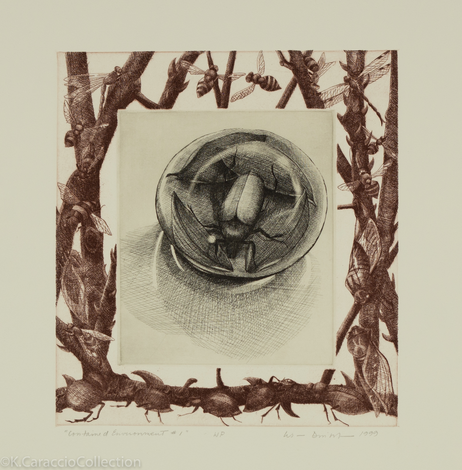 Contained Environment #1, 1999