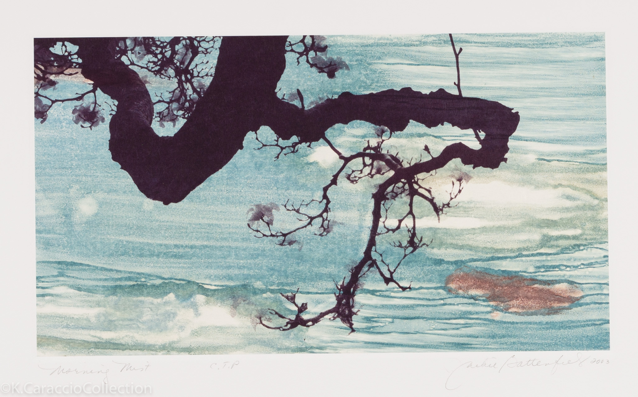 Spring Snow, 2003