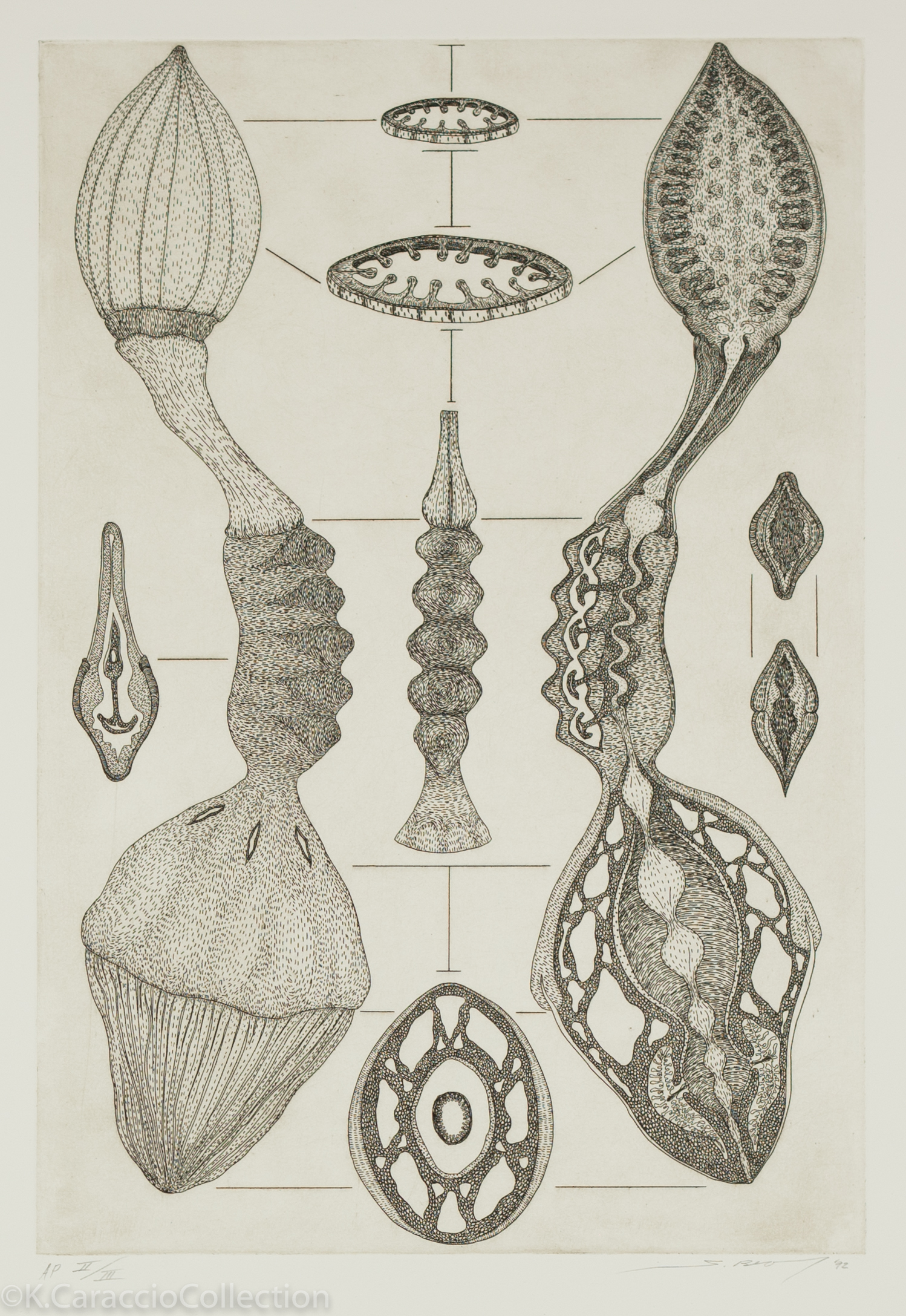 No Title, 1992