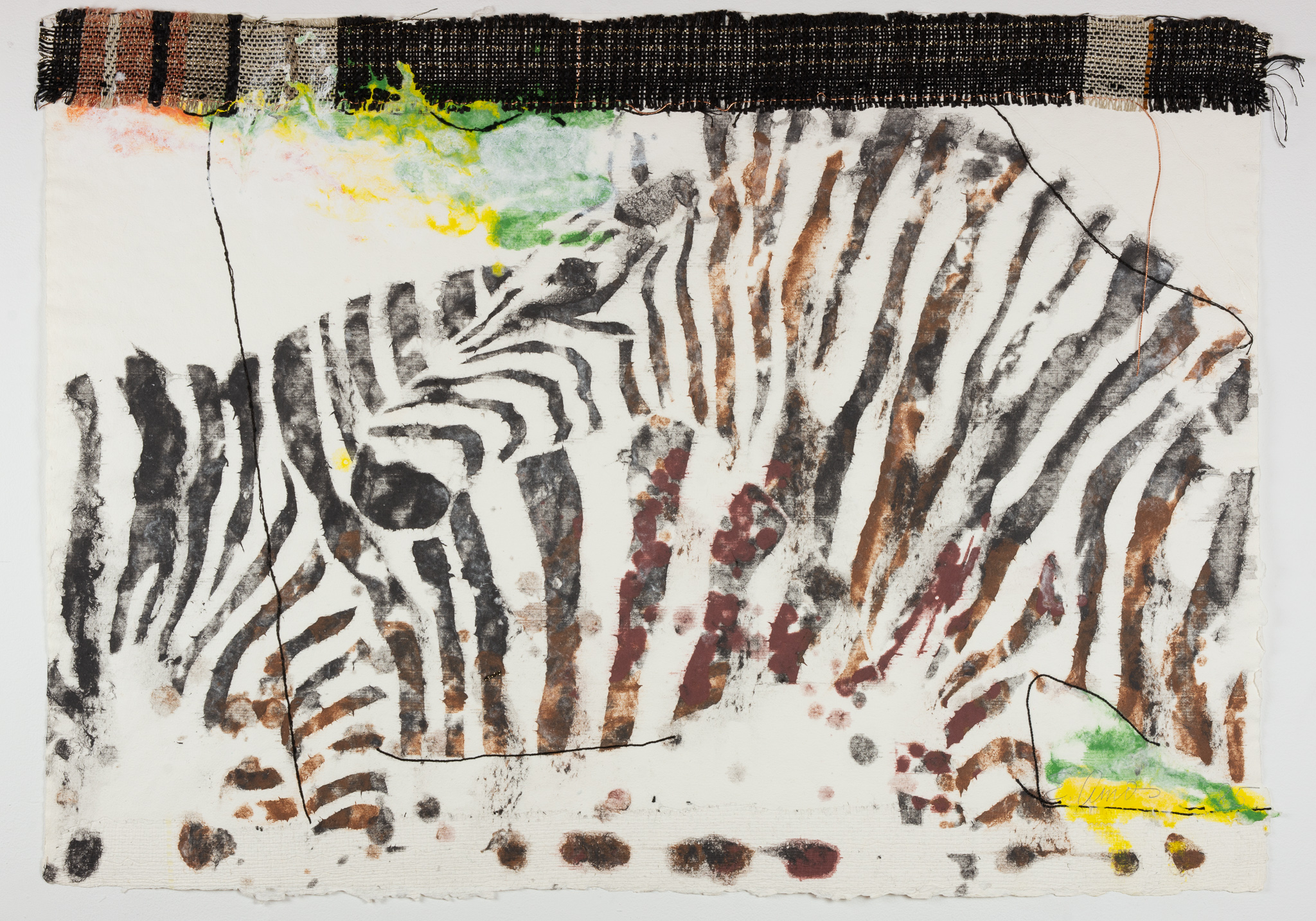 Zebras, 1985
