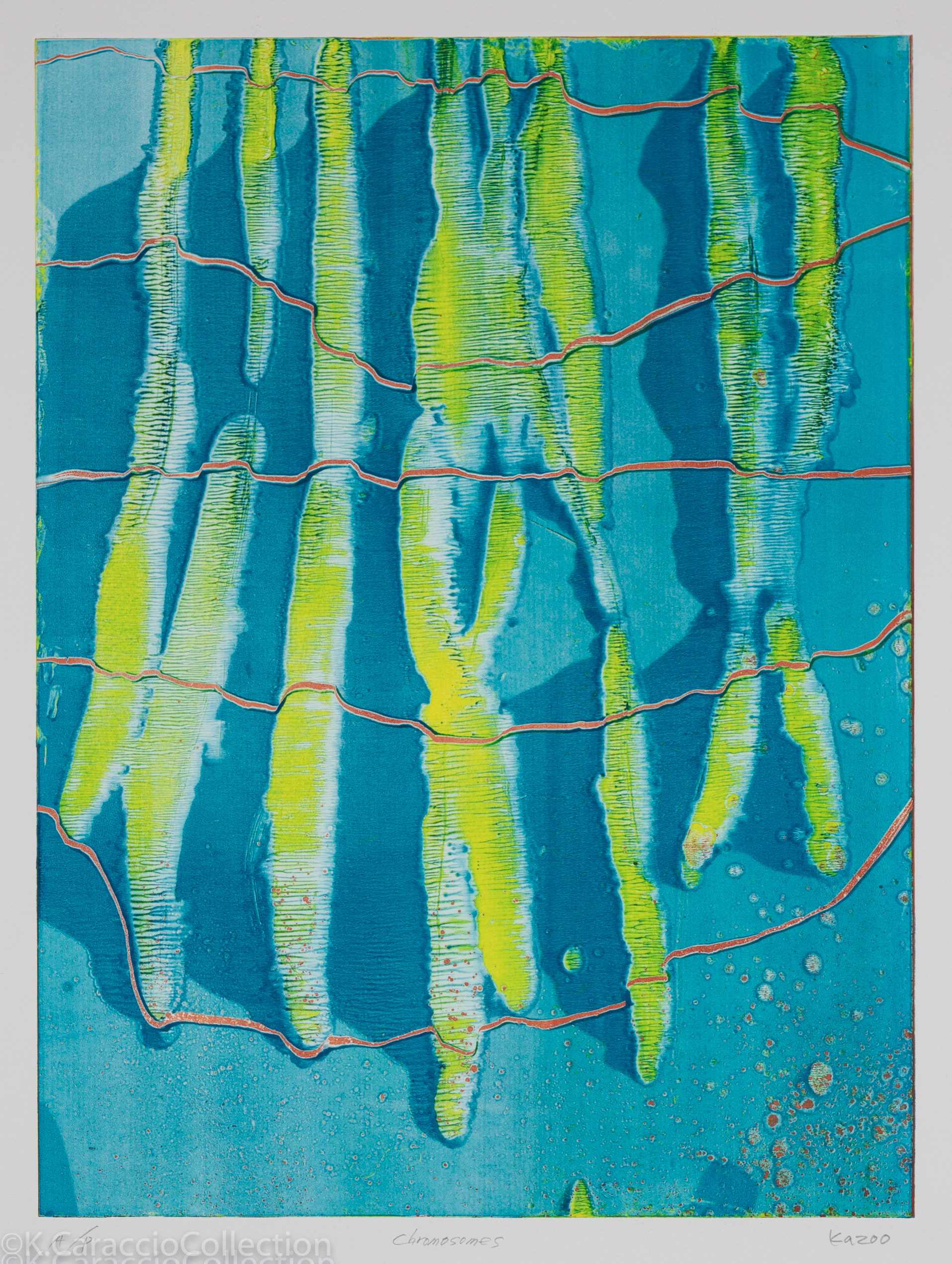 Chromosomes, 2009