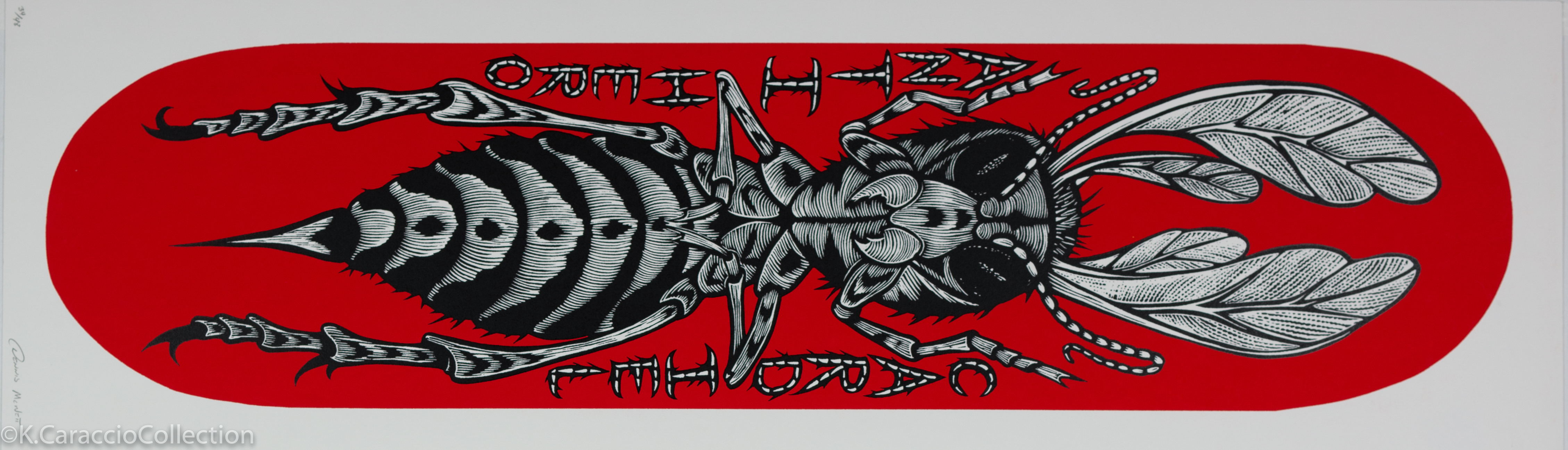 ANTI HERO CARDIEL, 2012