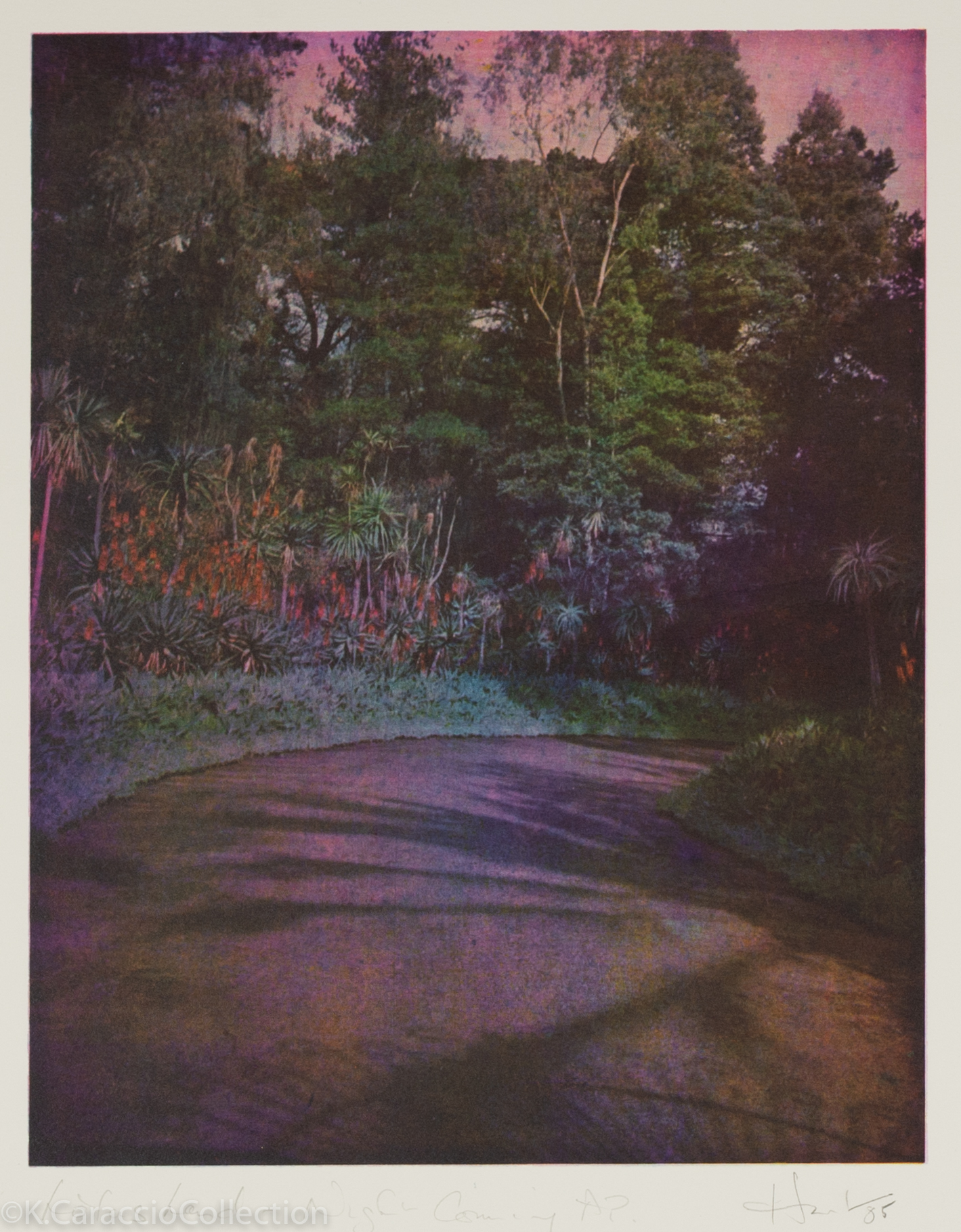 Lotus Hand-Night Coming, 1985