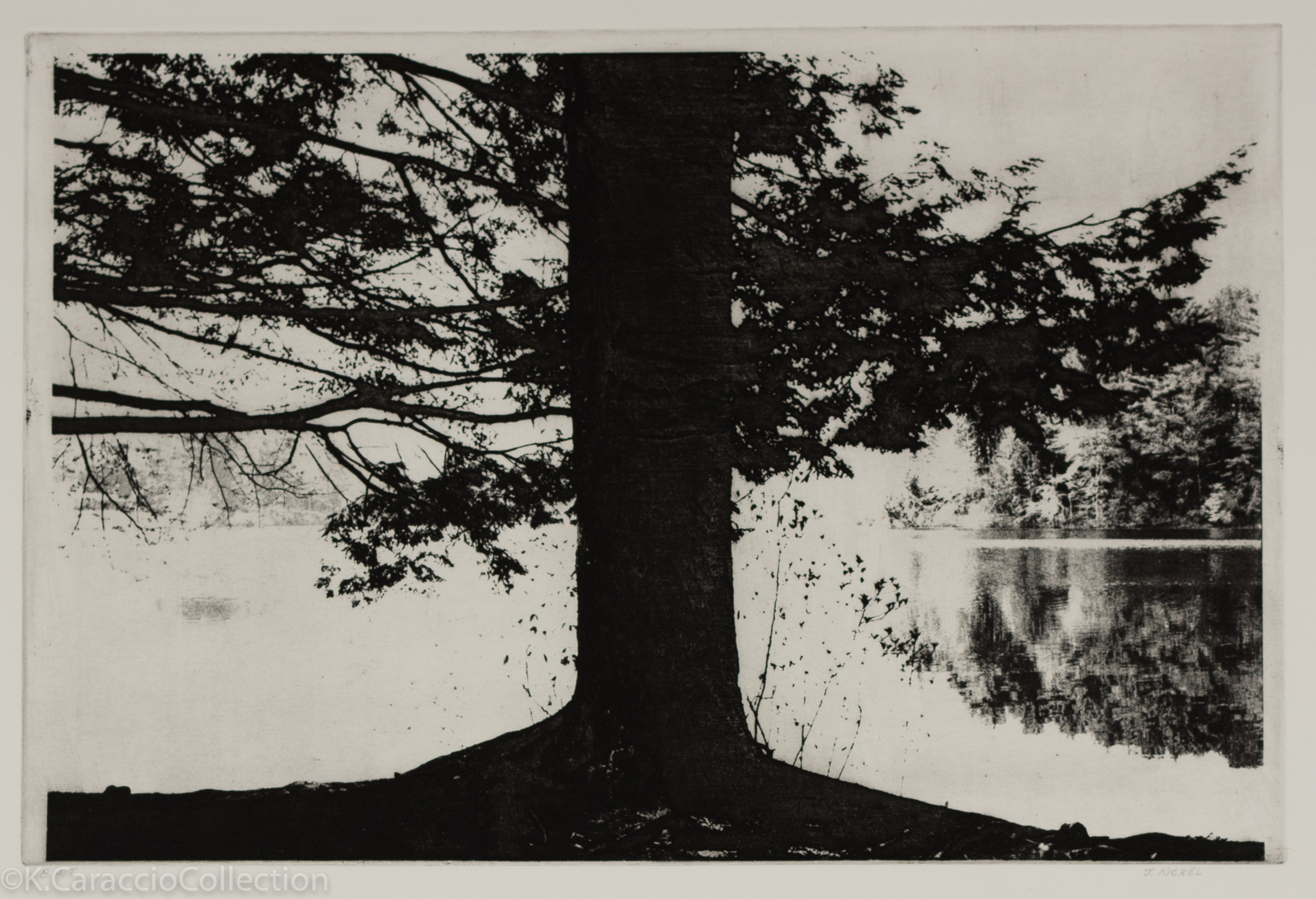 No Title, 2001