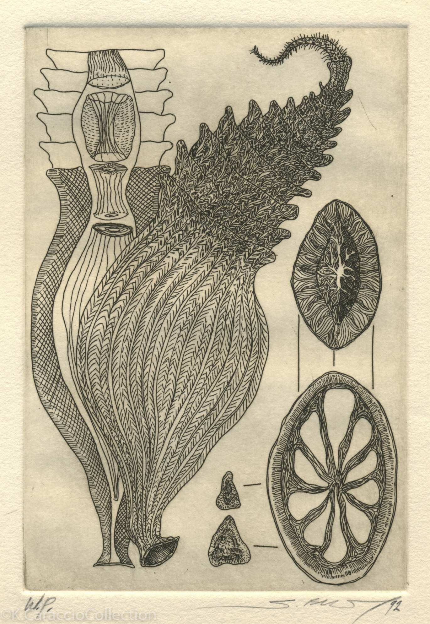 No Title, 1992