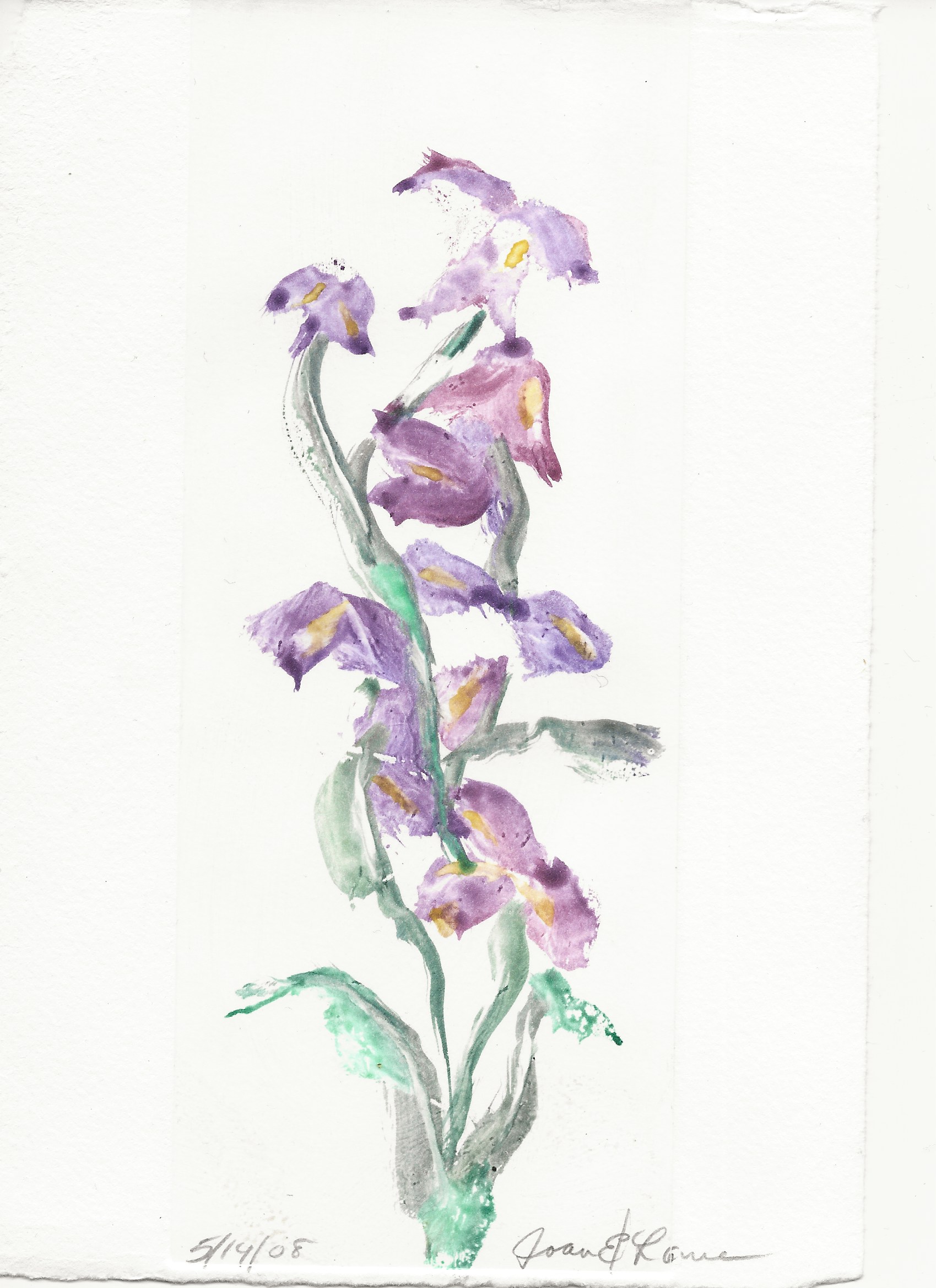 No Title, 2008