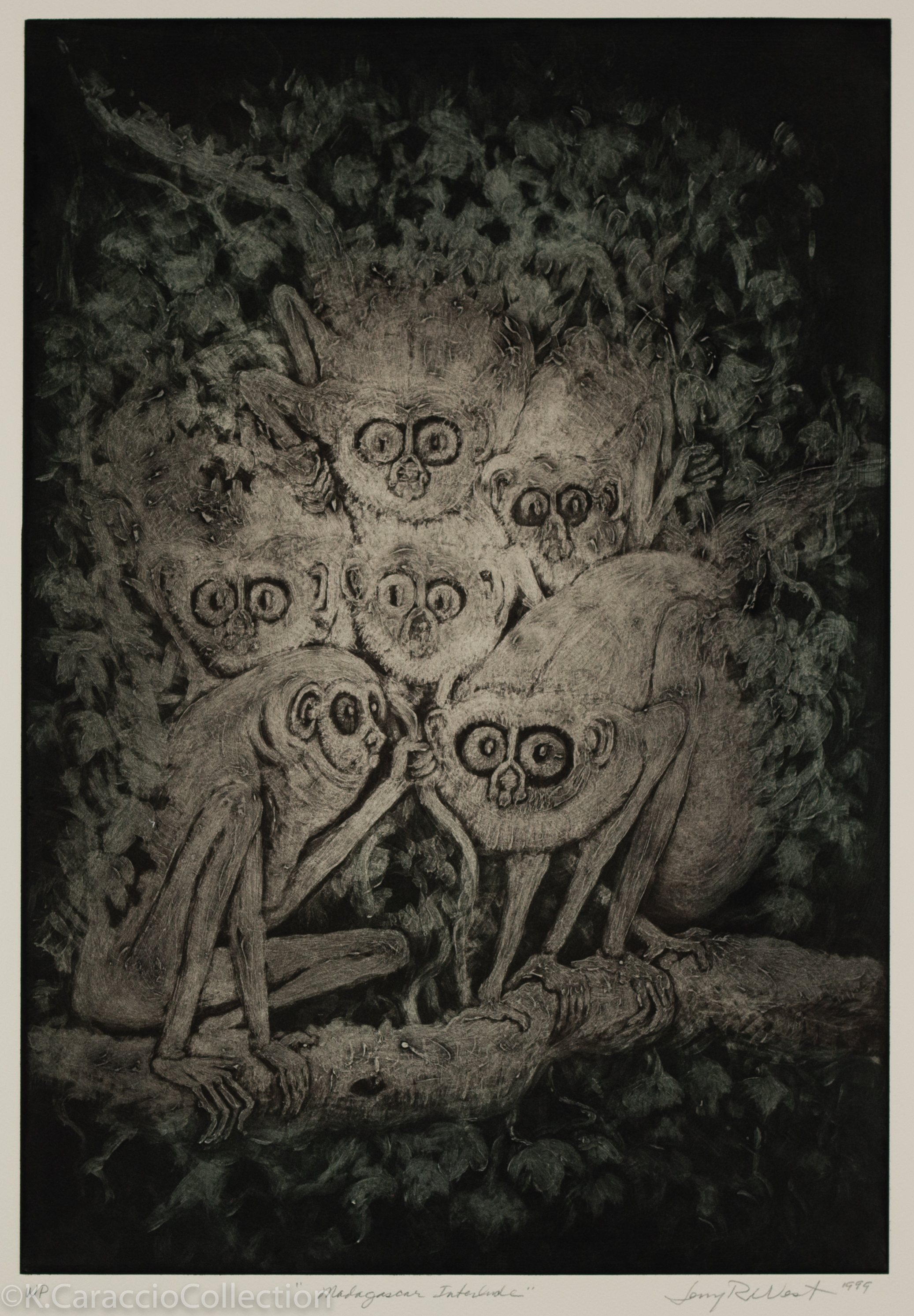 Madagascar Interlude, 1999