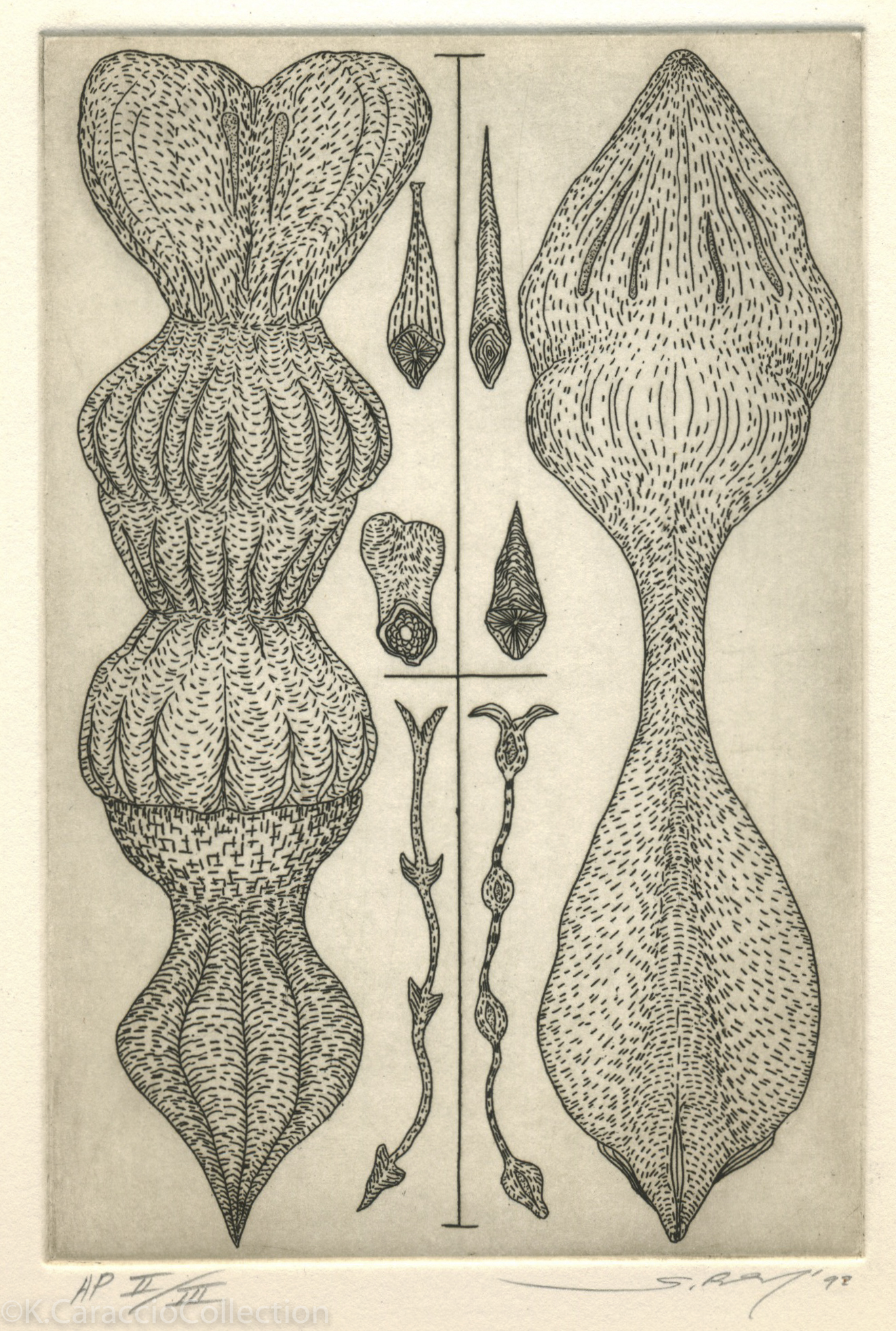 No Title, 1992