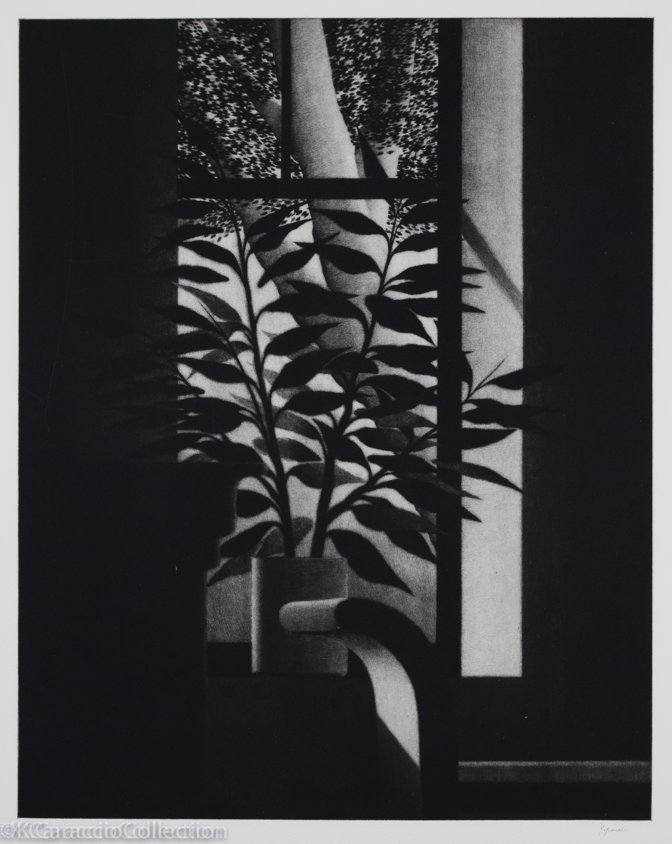 Window with Bench and Tree