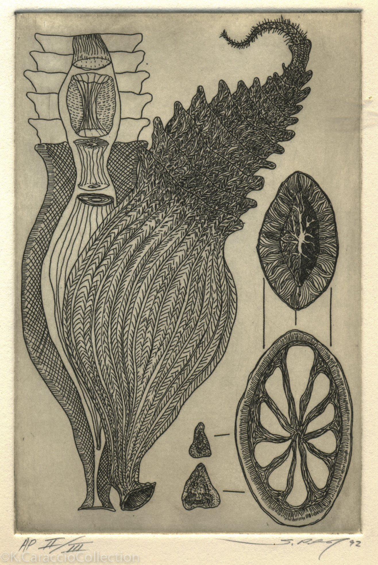 No Title, 1992